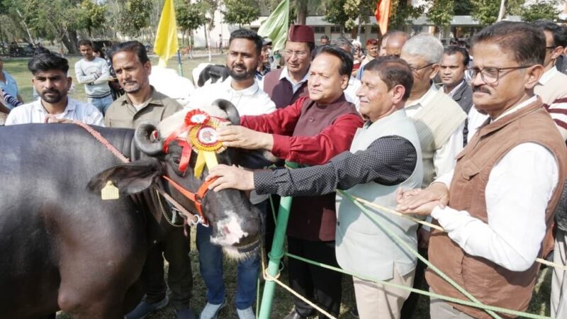 पंतनगर किसान मेले में जैनुल की दुधारू भैस रही सर्वोत्तम पशु