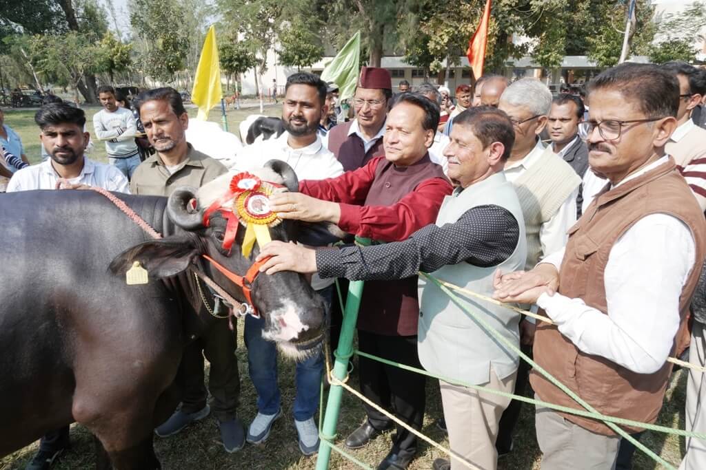 पंतनगर किसान मेले में जैनुल की दुधारू भैस रही सर्वोत्तम पशु