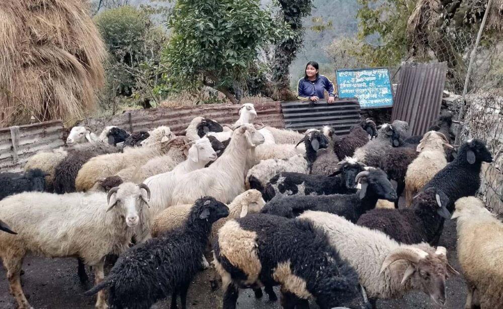 ग्रामोत्थान परियोजना महिलाओं की आजीविका को कर रही है मजबूत, 408 ग्रामीण महिलाएं कर रही स्वरोजगार