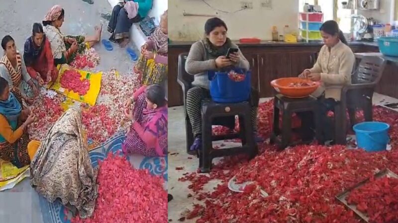 पौड़ी जिले में बुरांस के फूल बने ग्रामीण महिलाओं की आर्थिकी के स्रोत