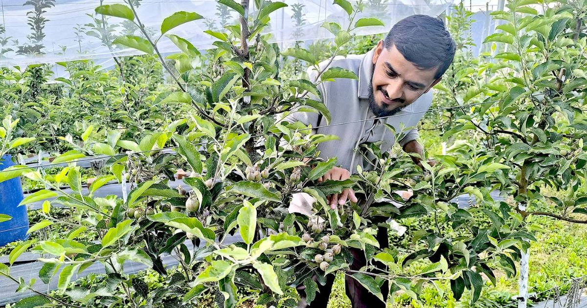 एप्पल मिशन में लगकर मुकेश जोशी जगा रहे हैं स्वरोजगार की अलख