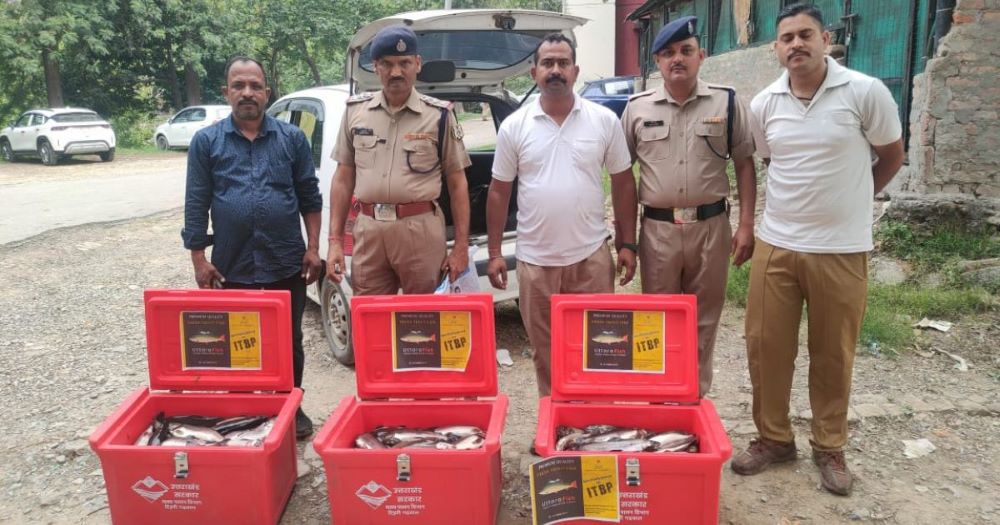 सेना के जवान लेंगे टिहरी की ट्रॉउट फिश का आनन्द, आईटीबीपी, देहरादून को ट्रॉउट फिश की गई सप्लाई