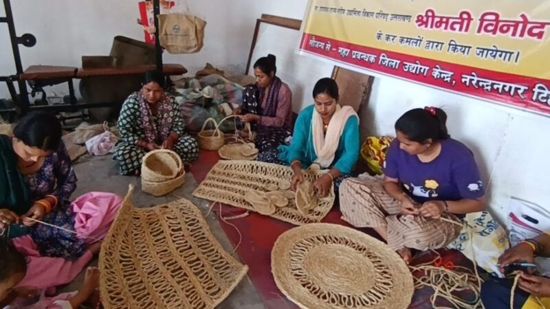 ‘बखरियाणा गांव की महिलाएं नेचुरल फाइबर से बना रही हैं, सजावटी सामान’