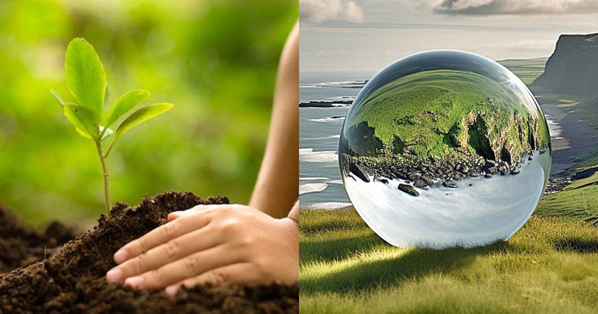 पर्यावरण : जल, जंगल, जमीन व जीवन का सवाल