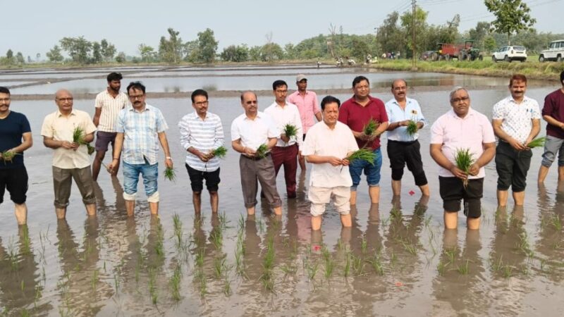कुलपति ने बेनी फार्म पर धान की पौध रोपण कार्यक्रम का शुभारम्भ किया