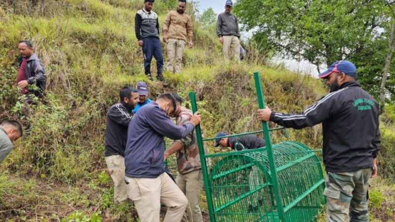गुलदार हमले के बाद वन विभाग अलर्ट मोड़ पर, गुलदार की गतिविधियों पर रखी जा रही है पैनी नजर