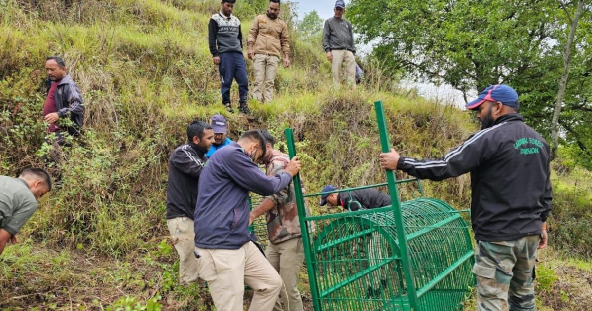 गुलदार हमले के बाद वन विभाग अलर्ट मोड़ पर, गुलदार की गतिविधियों पर रखी जा रही है पैनी नजर