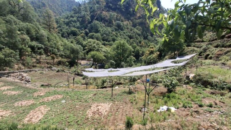 रिवर्स पलायन करके स्वरोजगार की एक नई मिसाल पेश कर रहे हैं रवि केमवाल