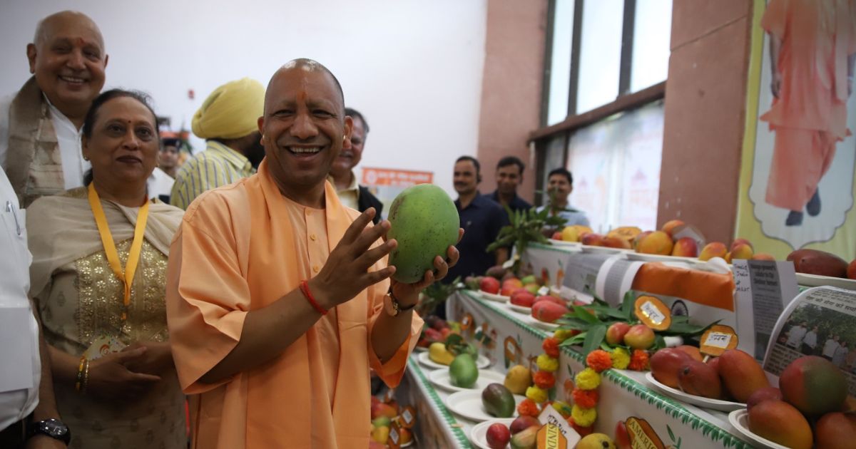 सीएम योगी ने तीन दिवसीय ‘उत्तर प्रदेश आम महोत्सव- 2025’ का किया शुभारंभ