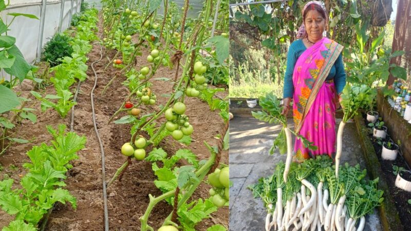 सूक्ष्म सिंचाई तकनीक से महिला कृषक बनी आत्मनिर्भर