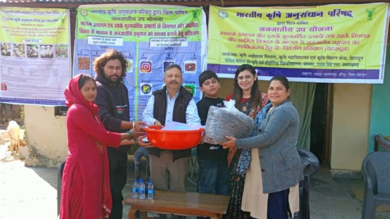 मशरूम उत्पादन से कमाई होगी दोगुनी, पंतनगर विश्वविद्यालय में किसानों को मिला प्रशिक्षण