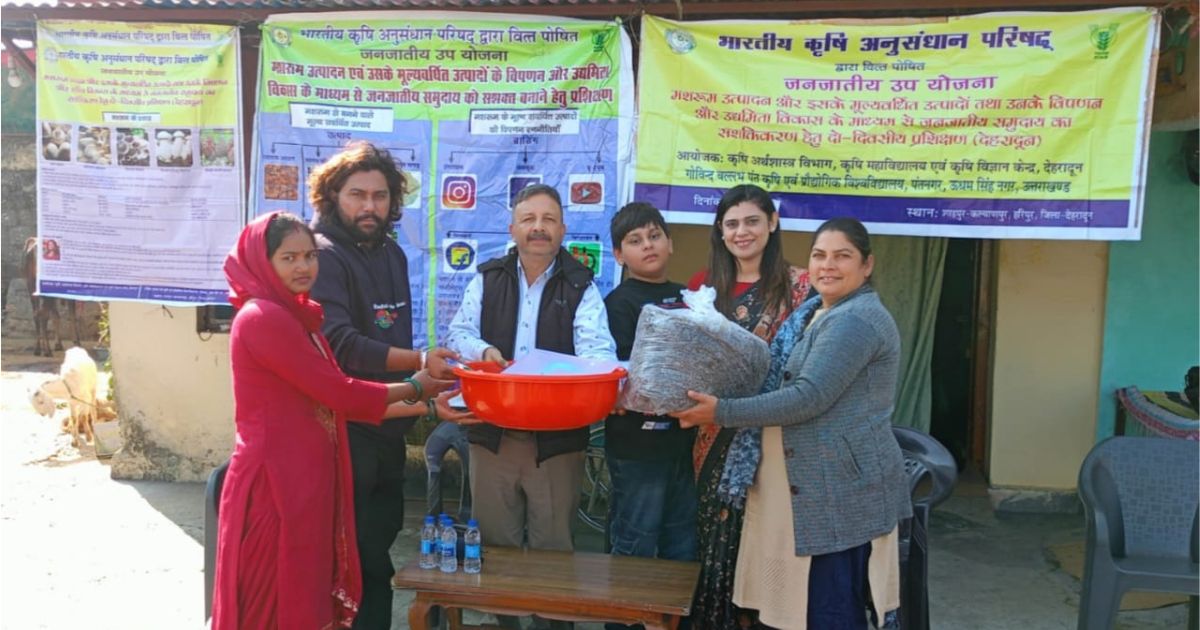 मशरूम उत्पादन से कमाई होगी दोगुनी, पंतनगर विश्वविद्यालय में किसानों को मिला प्रशिक्षण