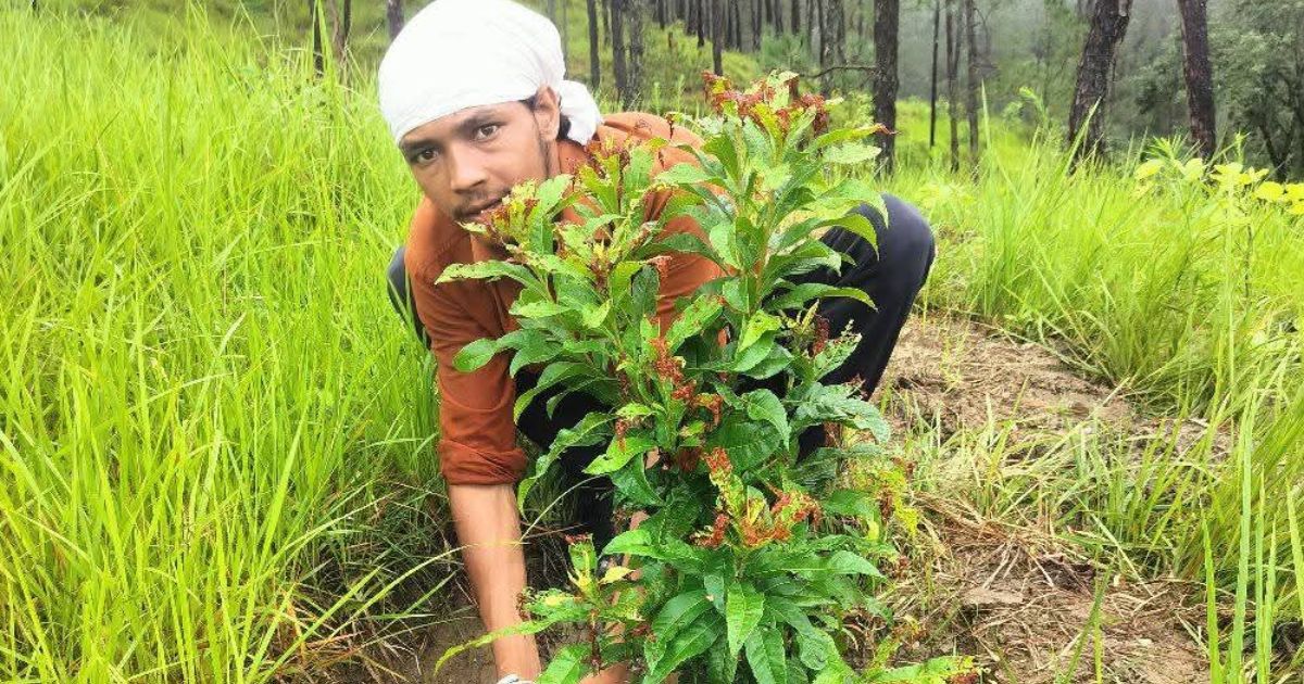 जब इंसान ने प्रकृति का साथ दिया, तो नौला फिर बह उठा