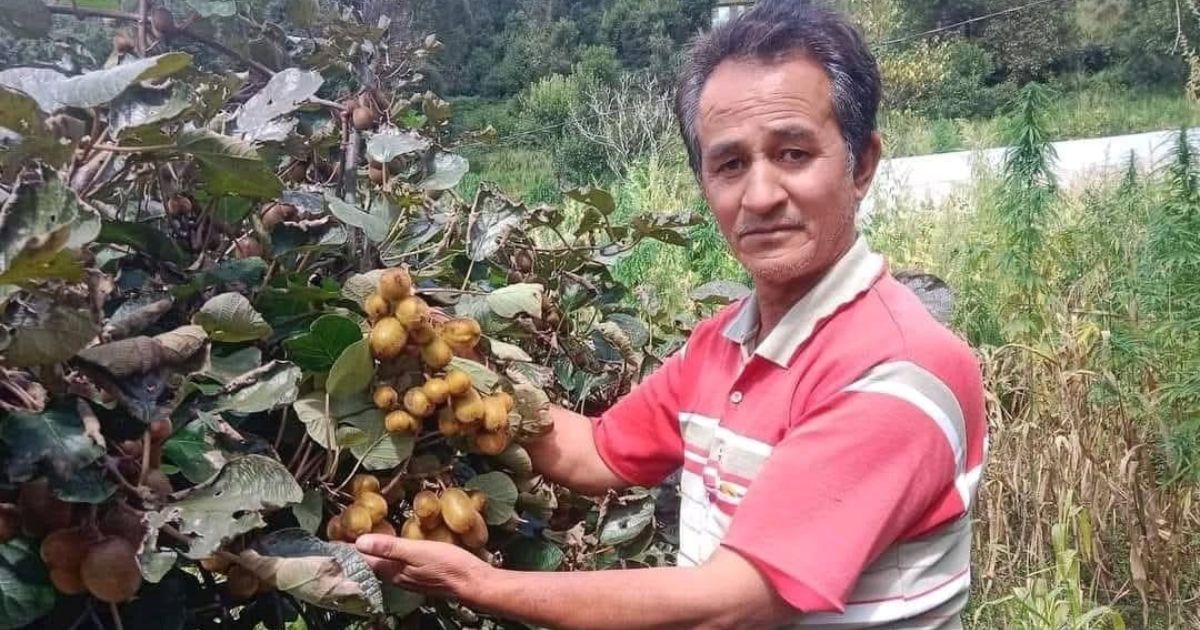 कीवी की खेती से बदली राजेंद्र कोरंगा की किस्मत, लिखी आत्मनिर्भरता की कहानी