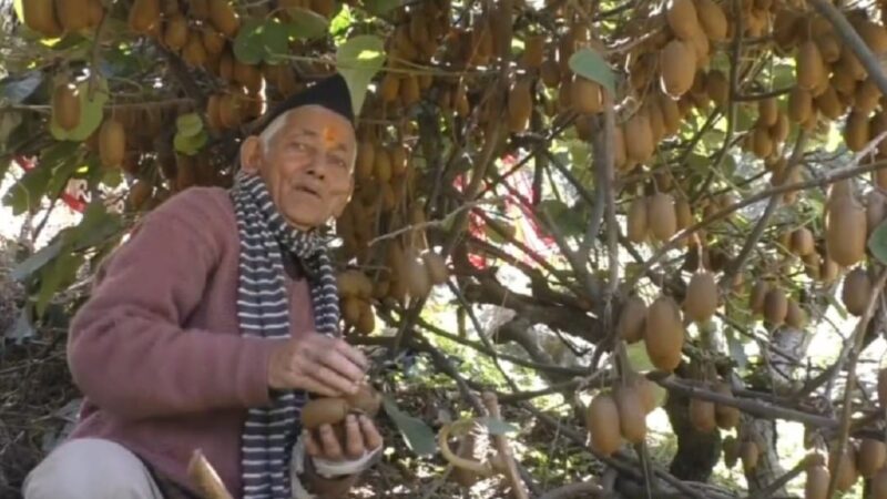 सोच बदली, खेती बदली: उत्तराखंड के ‘कीवी मैन’ की सफलता गाथा