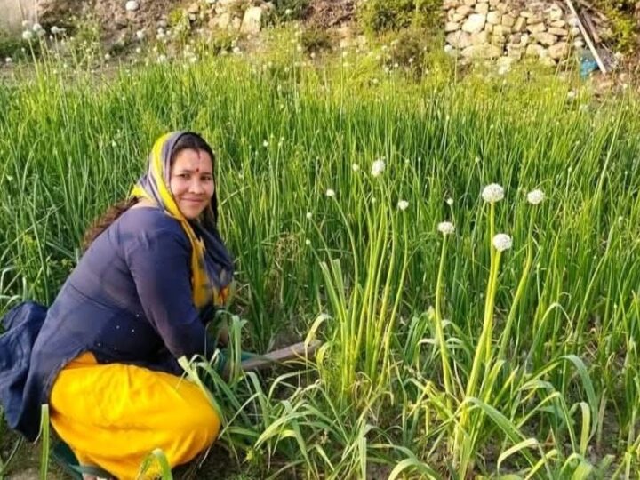 जब इरादे हों मजबूत, तो राह खुद बनती है