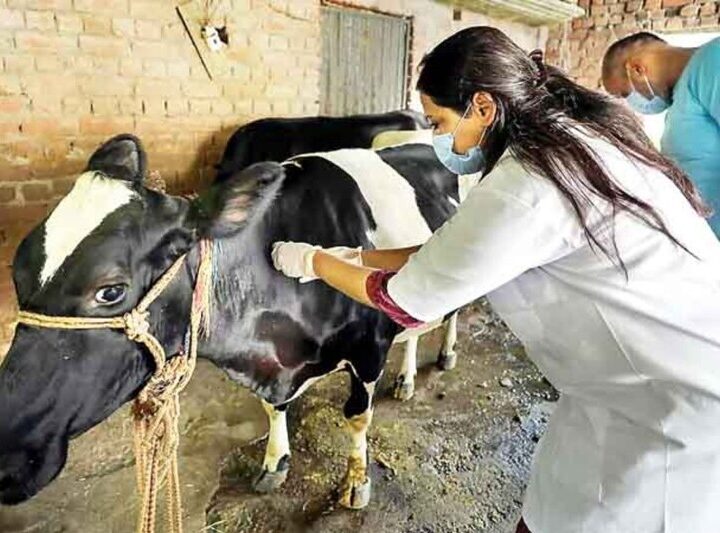 श्रीनगर में बनेगा पहला मॉडल पशु चिकित्सालय