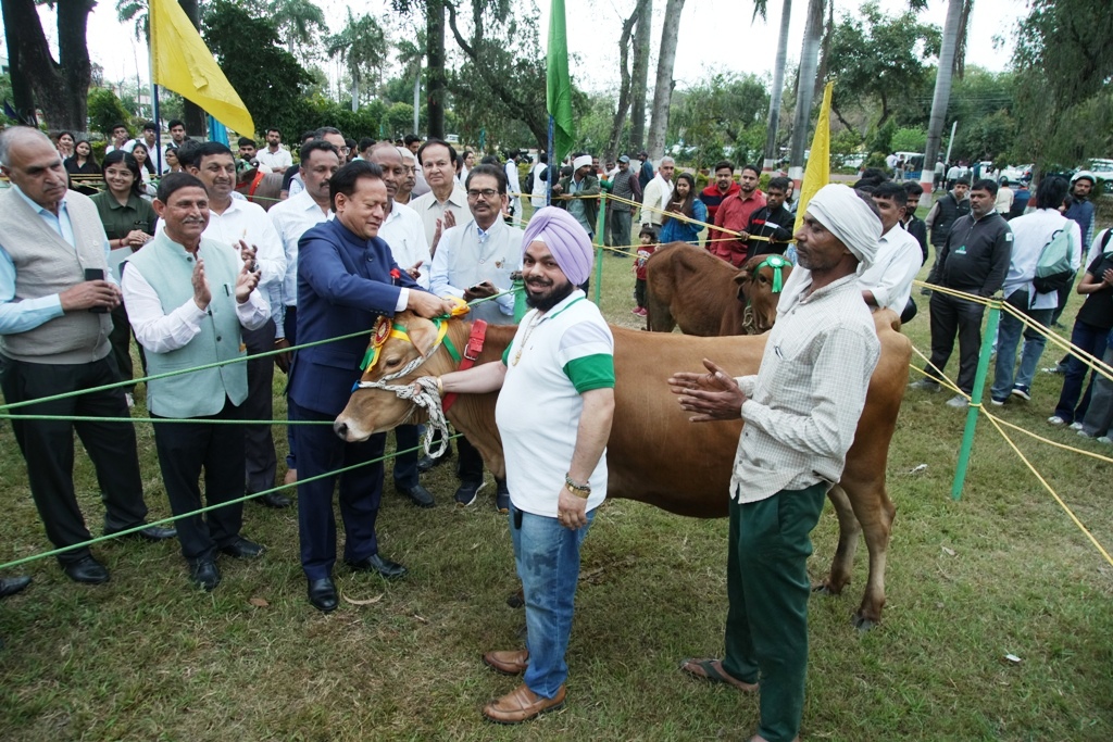पंतनगर किसान मेले में जम्बी भल्ला की गाभिन जर्सी गाय बनी सर्वोत्तम पशु