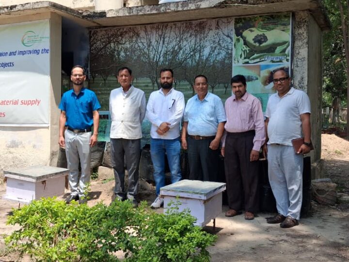 विश्व मधुमक्खी दिवस 2026 पर IATR द्वारा मधुमक्खी संरक्षण कार्यशाला का आयोजन