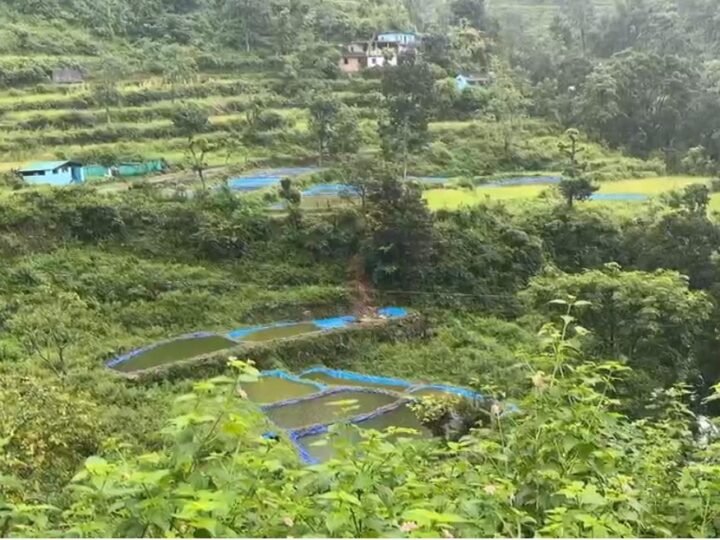मछली पालन से स्वरोजगार की मिसाल बने राजेंद्र