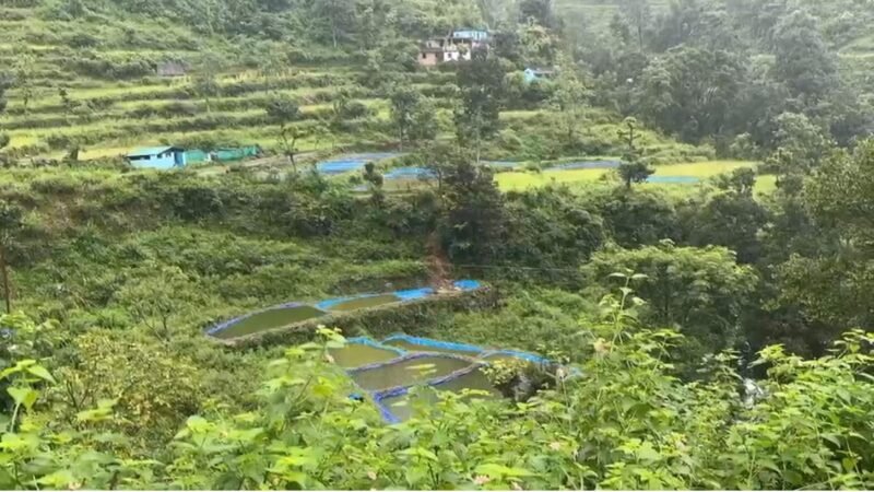 मछली पालन से स्वरोजगार की मिसाल बने राजेंद्र