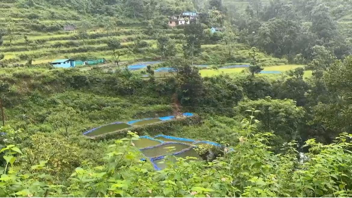मछली पालन से स्वरोजगार की मिसाल बने राजेंद्र