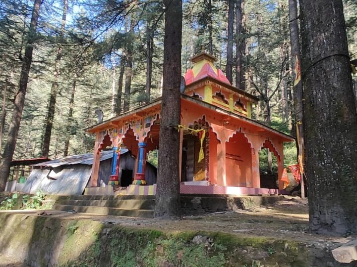 देवदार के घने जंगलों में विराजमान भगवान जगन्नाथ